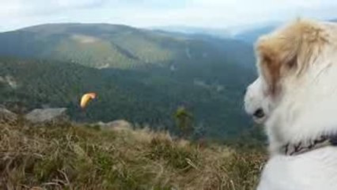 TEASER ACROLIDE VIDEO ENCORE PLUS LIDE