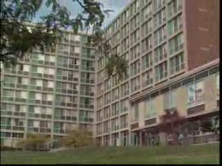 Syracuse U responds to threat of swine flu | CitrusTV News