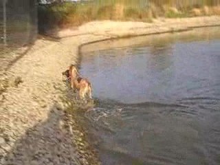 Eskenn 4 mois au rapport à l'eau