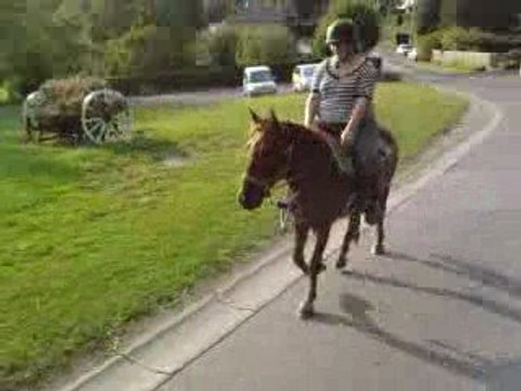 1ere ballade de Seven - 7 septembre 2009