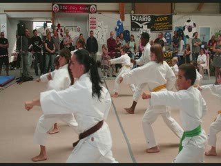 karate stk demonstrations forum