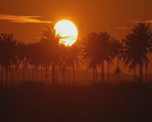 Caetano Veloso Um Índio - camarrotuga