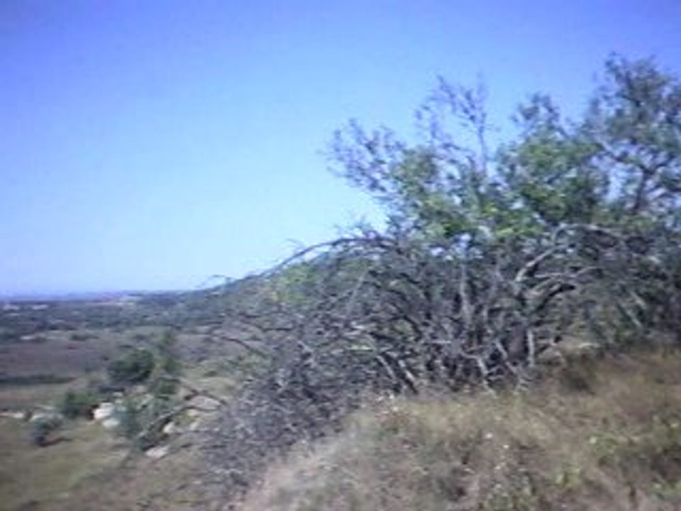AVI_0008