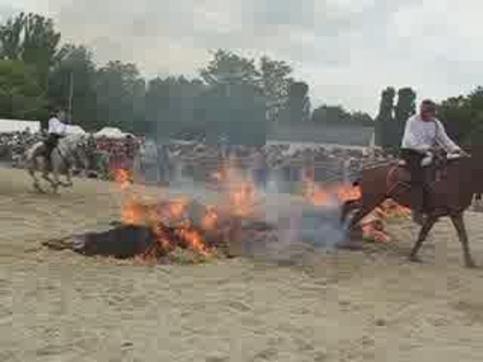 Trainade feu