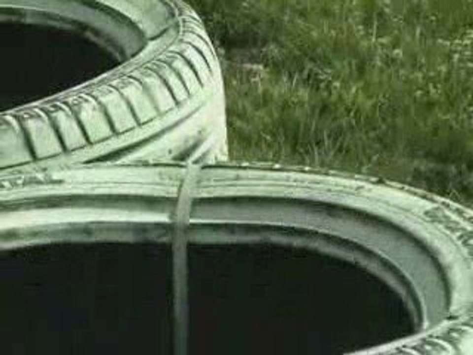 Warlock-Ecuyers-Beuvarde-2009