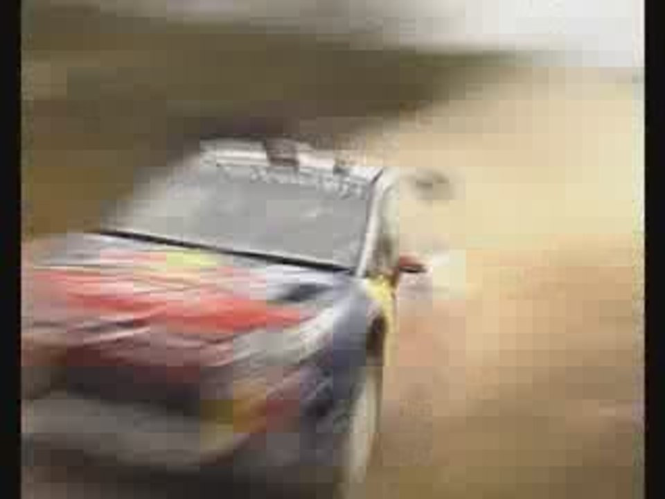 Rally Mundial Argentina 2009