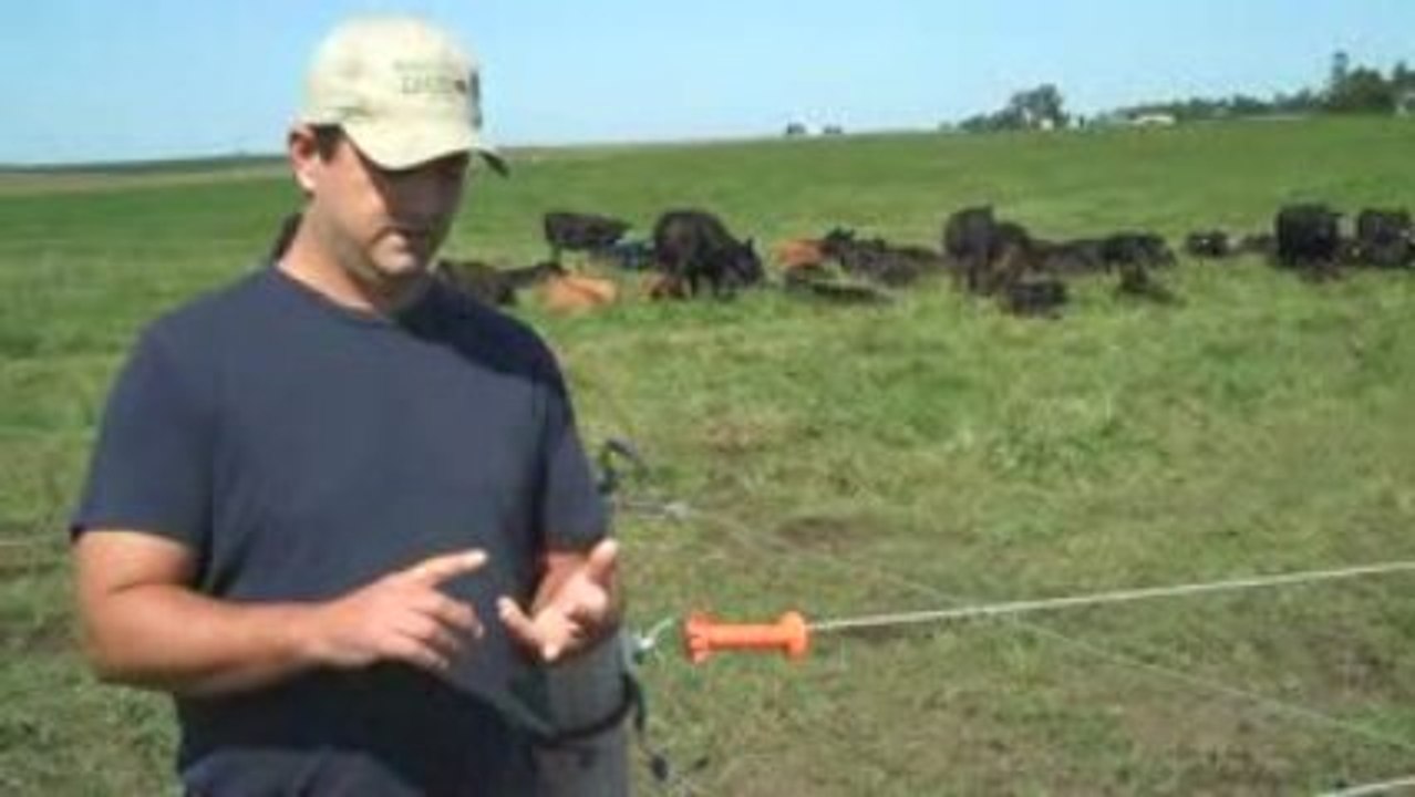 Iowa all natural grass fed beef from Wallace Farms