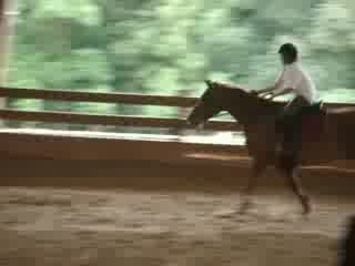 Haras de Val en Pré - Moi & Laracas