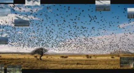 Kayseri Dokuzpınar Köyü