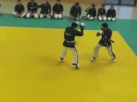 Démo Yoseikan Budo Tarbes - Jutsu Club Tarbais - Avril 2009