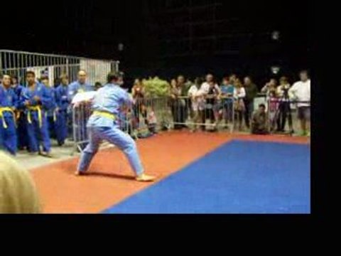 Vovinam viet vo dao demonstration part 2 carat 2009