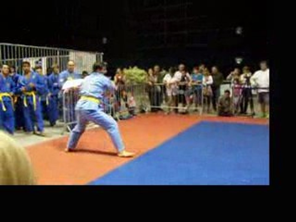 Vovinam viet vo dao demonstration part 2 carat 2009