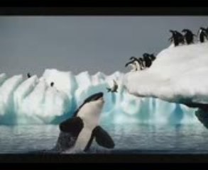 fotoğrafta zamanlama