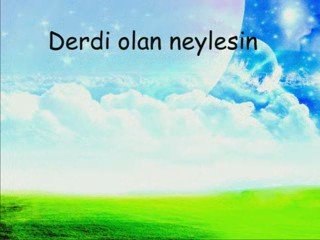 Derdi olan neylesin