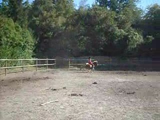 Détente Galop A Droite