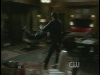 Vampire Diares - Stefan and Damon