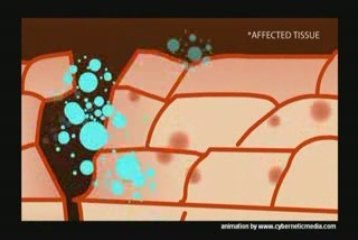 StemEnhance-the Biggest Scientific - wellness breakthrough
