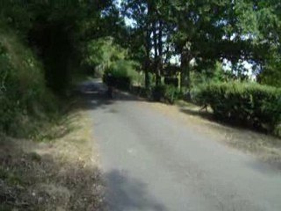 Proto mob à moteur derbi (3)