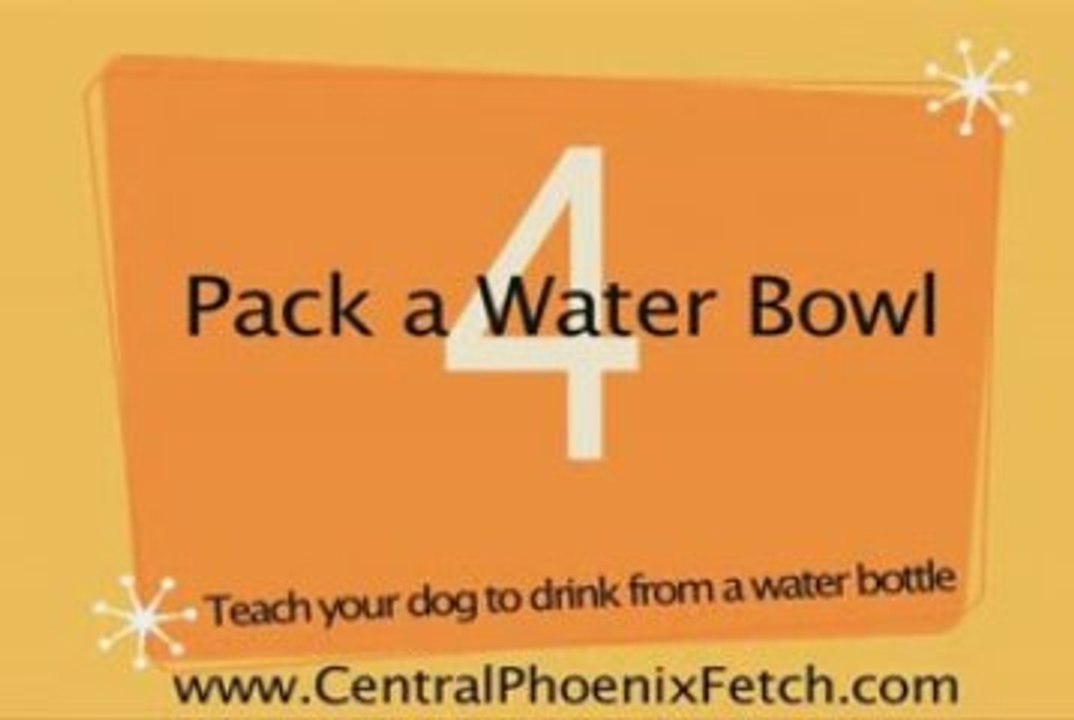 kennels phoenix az,kennel phoenix az,dog kennel phoenix