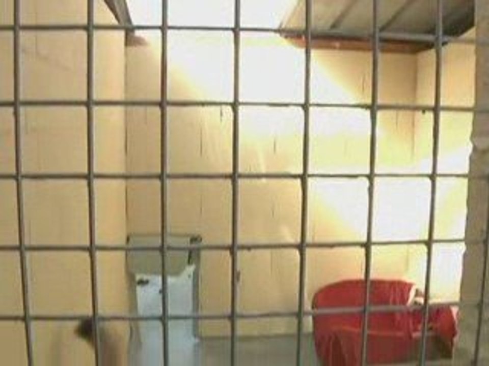 L'appel de SOS Romilly Chiens!