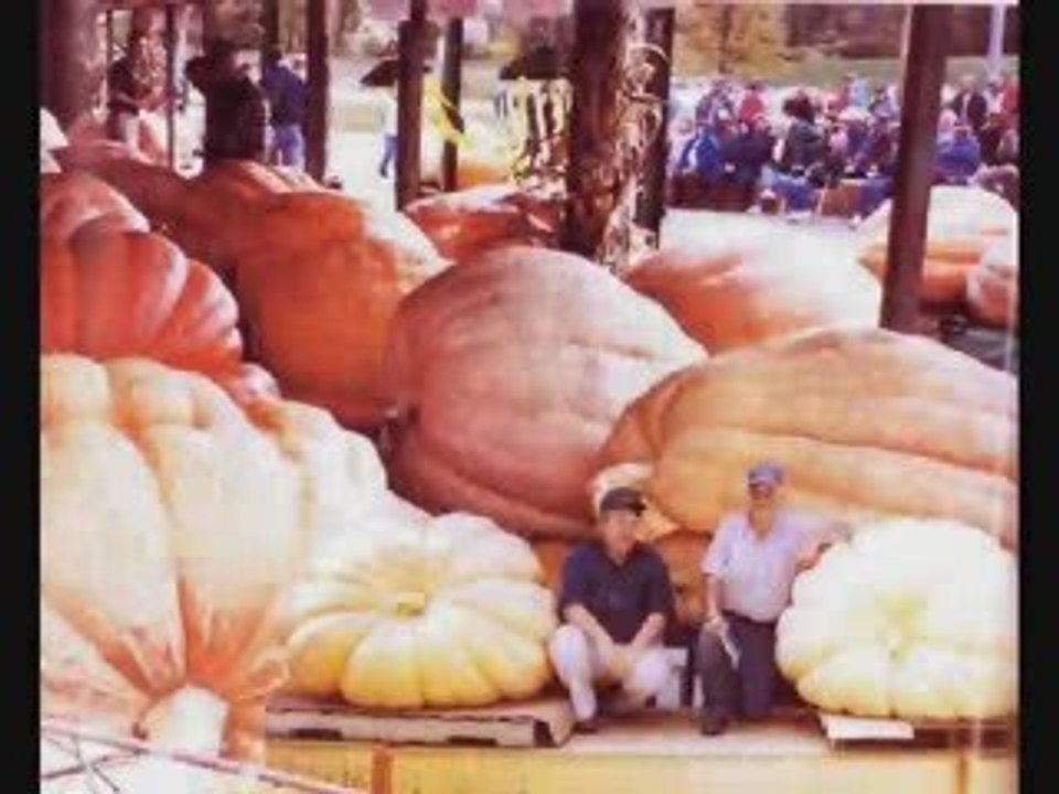 (2) TOP 20 MOST UNBELIEVABLE PHOTOS PART 2