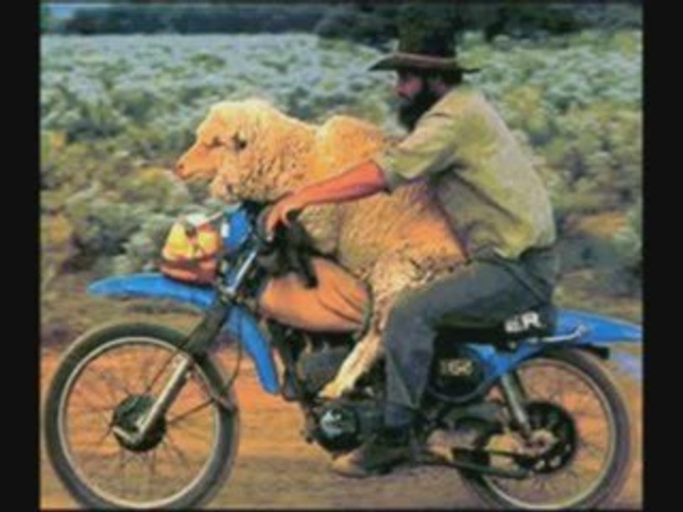 (5) TOP 20 MOST UNBELIEVABLE PHOTOS PART 5 - Google Chrome