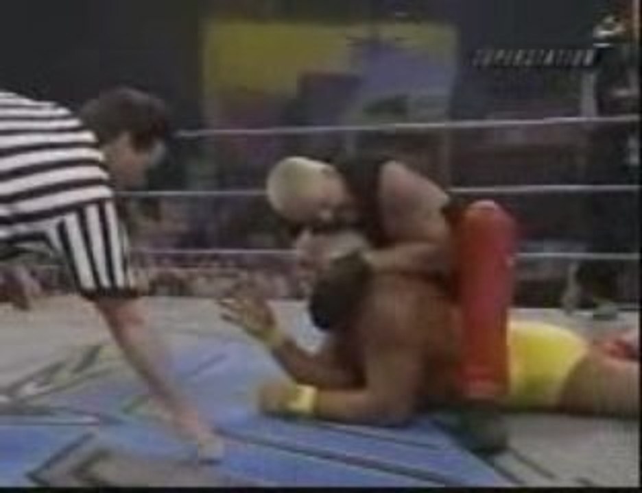 Hulk Hogan vs Dustin Rhodes