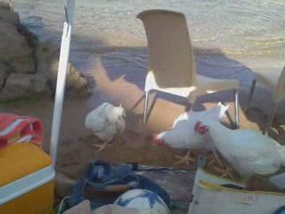 Oran 2009 plage Sba3at algérie