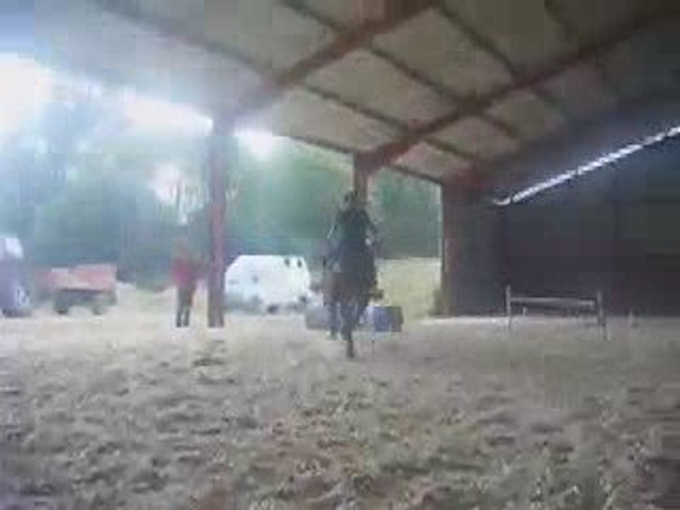 mule2manège