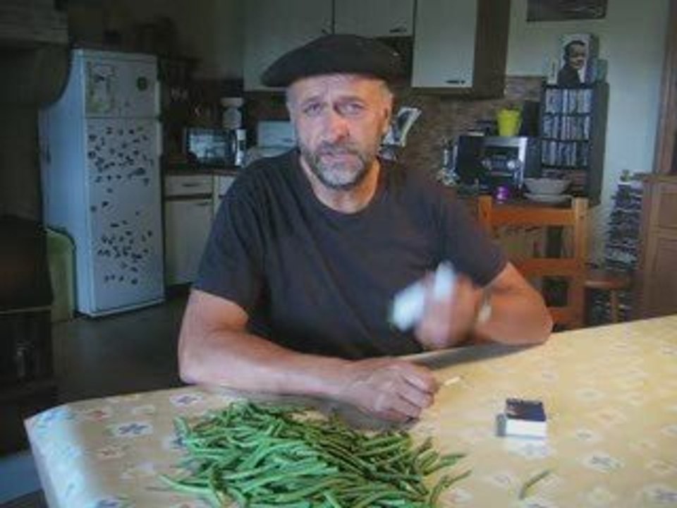 Epluchons les haricots (suite)