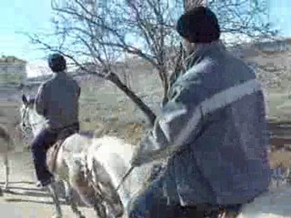 KAPADOKYA DA AT SEYRİ  KİRKİT AT ÇİFLİĞİ  (1)