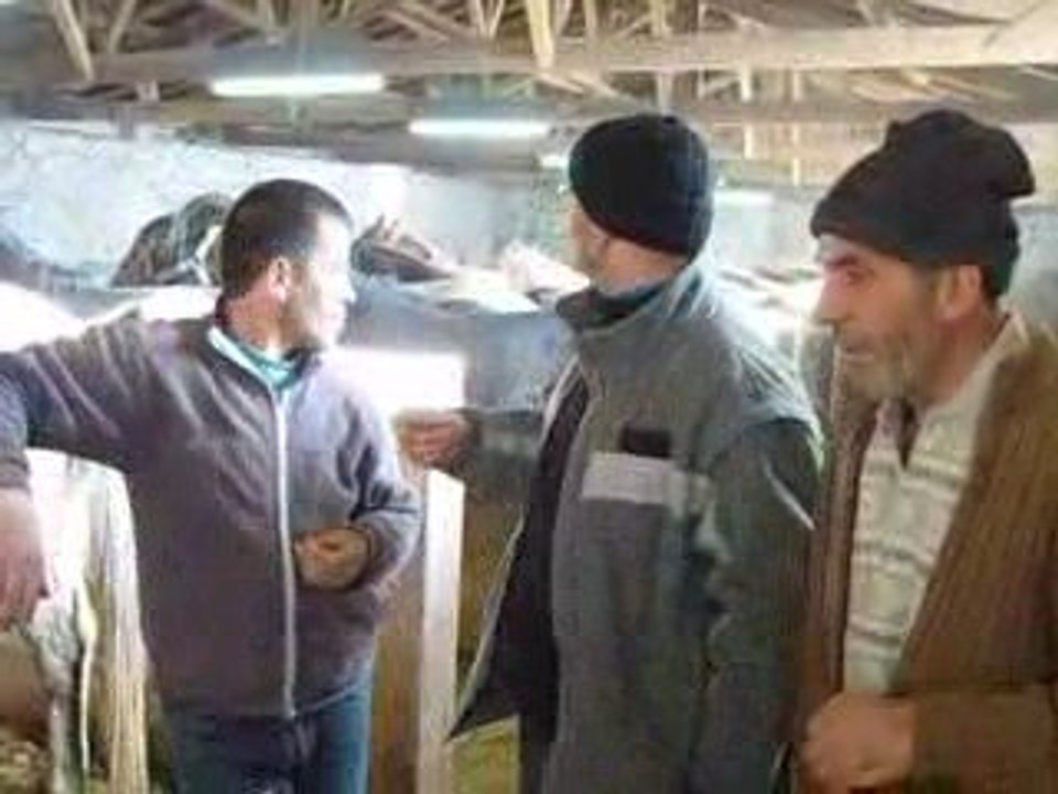 KAPADOKYA DA AT SEYRİ  KİRKİT AT ÇİFLİĞİ  (2)