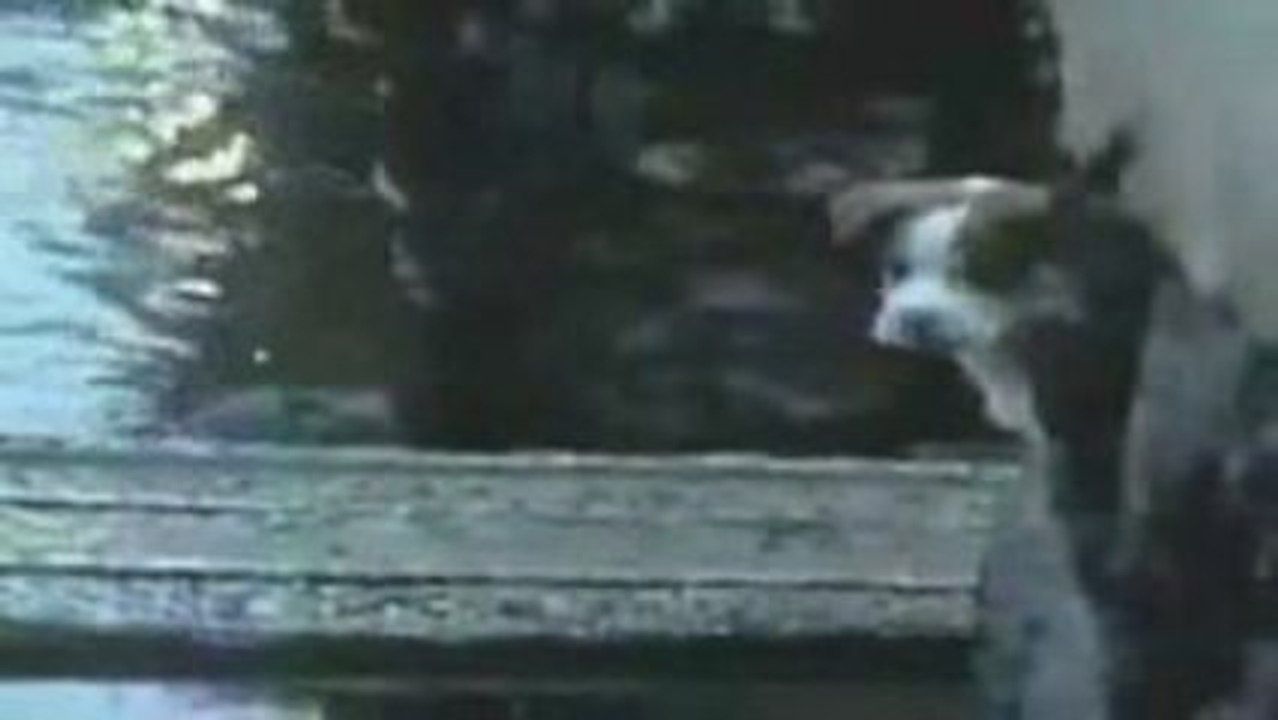 トリスＣＭ