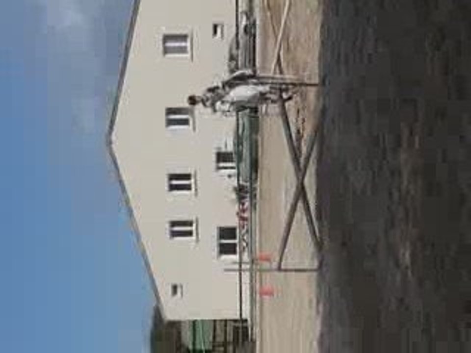 Pardo