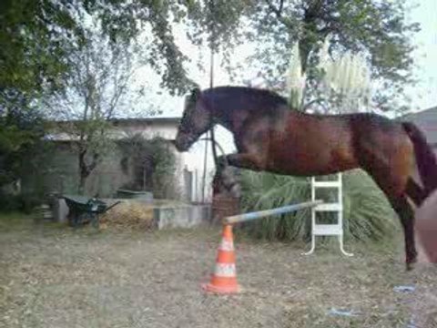 longe meunster saut 12 septembre