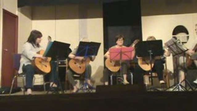 Guitares à la fête de la musique en juin 2009