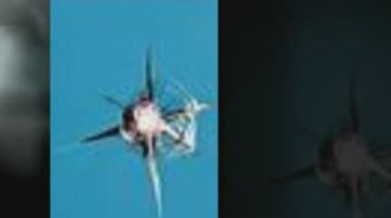 Houston, TX Windshield Repair and Replacement