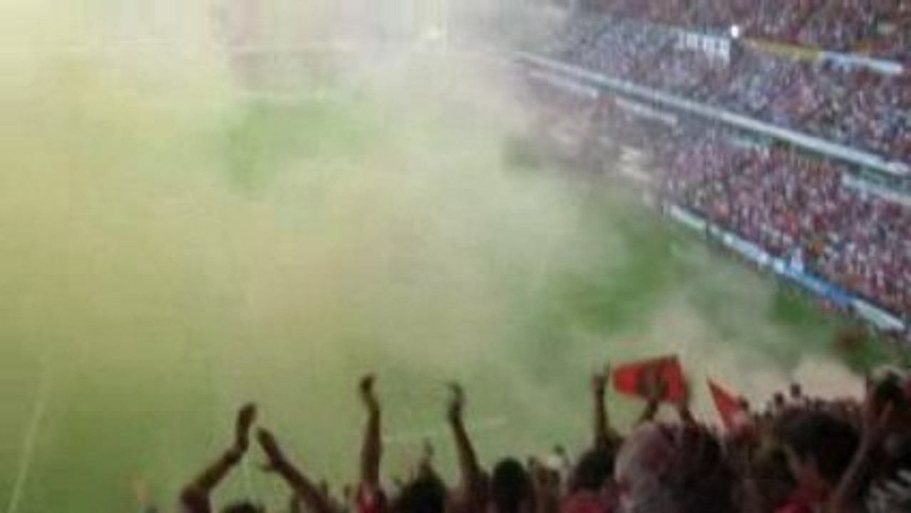 Test Match 08/09  Standard Anderlecht