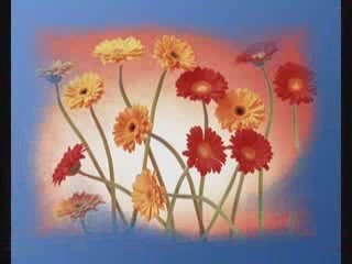 gereksizdi yaşamım samet nurcan