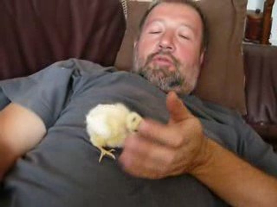 poussin calin j+3