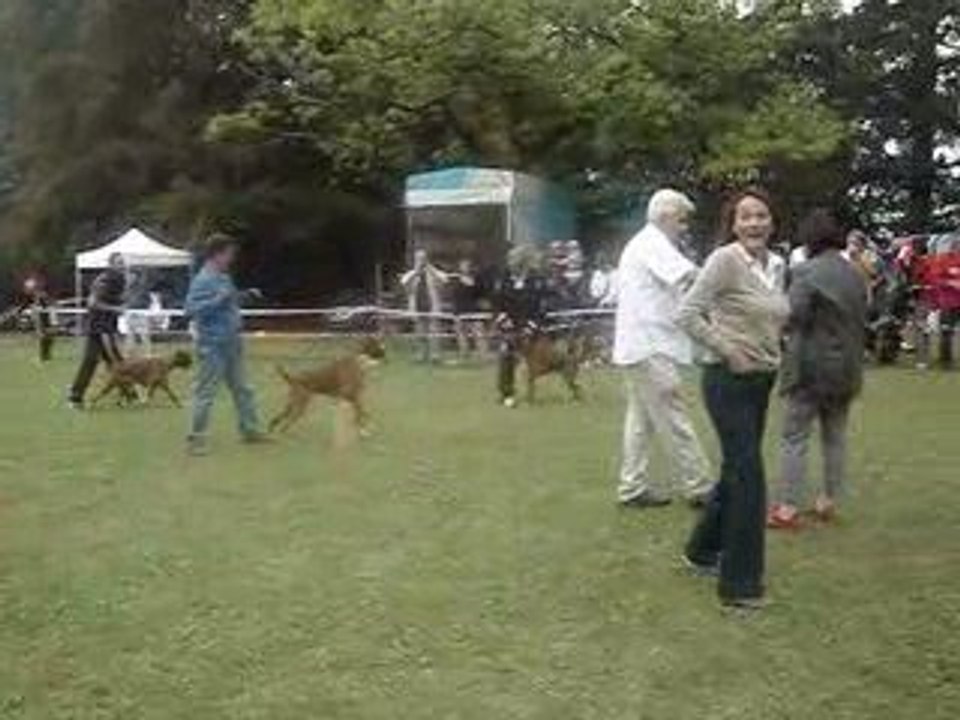 15ème Nationale Elevage Suisse 12 septembre 2009