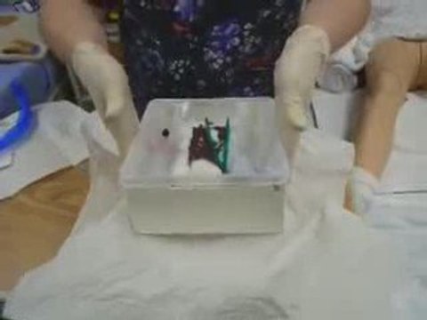 Male Catheter Insertion