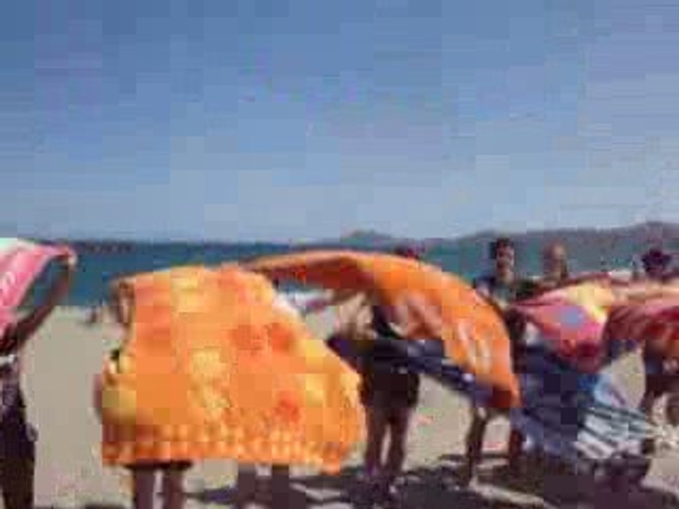 Petit trip à la mer...