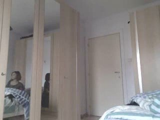 funny bear french version cat