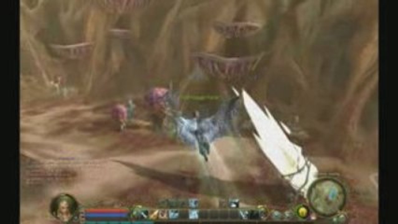 aion aile blanche