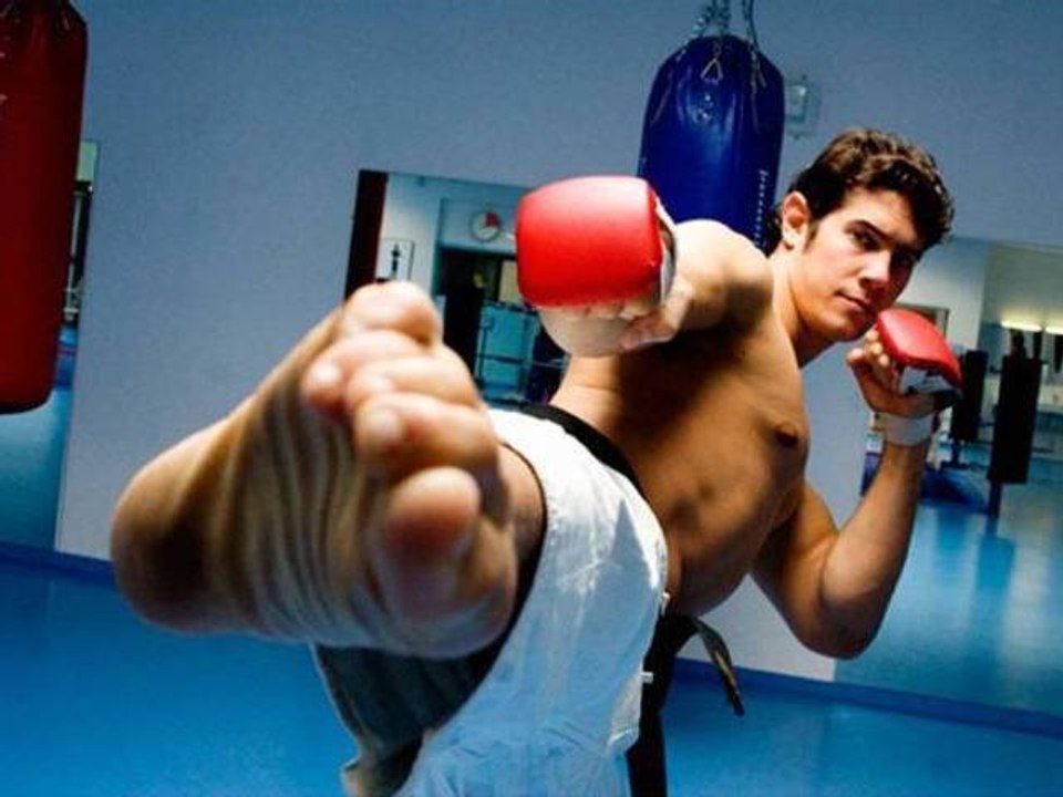 L'Ultimate Fighting dans le Cabinet des Curiosités (Teaser)