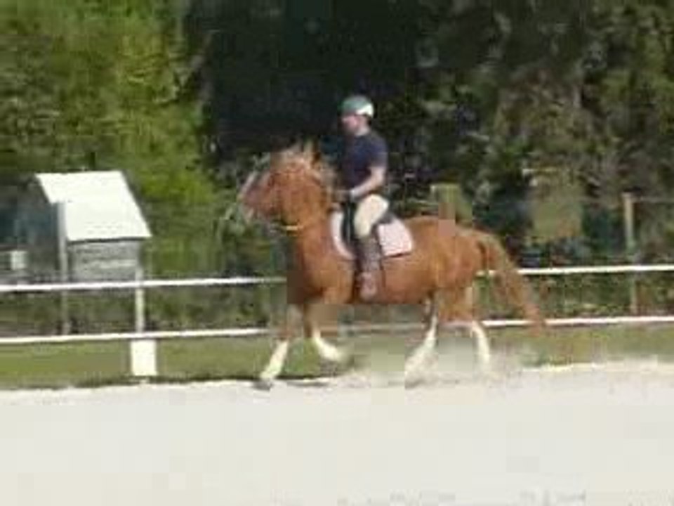 léna galop 12/09bis