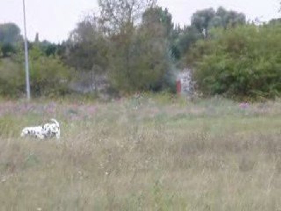 P9130339
