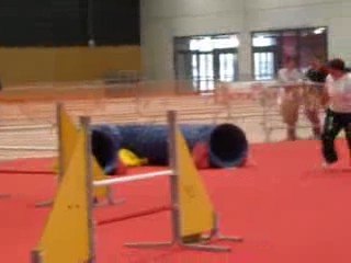 exposition canine 2009 tess