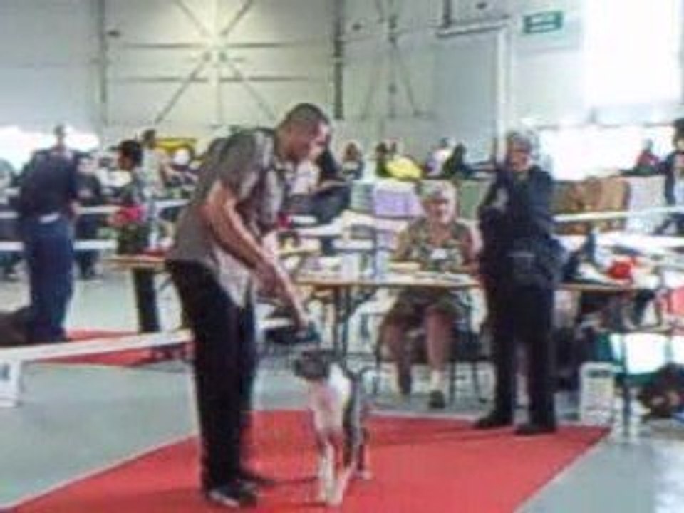 Passage Eazy ==> Foire des Expositions de Metz 13-09-09